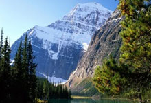 金年会体育官网入口：西甲第25輪皇家馬德裏3-0阿拉維斯 本澤馬傳射建功維尼修斯破門.