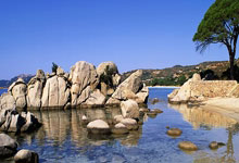 金年会体育官方网站：歐聯杯附加賽首回合多特蒙德2-4流浪者 貝林厄姆破門難救主.